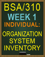 BSA/310 Week 1 Organization System Inventory