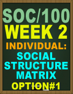 SOC/100 Social Structure Matrix