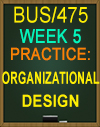 BUS/475T WEEK 5 Practice: Organizational Design
