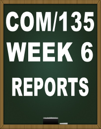 COM135 WEEK 6 REPORTS TUTORIAL