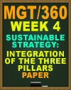 MGT/360 Week 4 Sustainable Strategy: Integration of the Three Pillars Paper