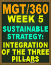 MGT/360 Week 5 Sustainable Strategy Management Assessment