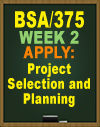 BSA/375 Wk 2 -Apply: Project Selection and Planning 