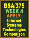 BSA/375 Pine Valley Internet Systems Comparison