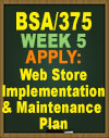 BSA/375 Pine Valley Webstore Implementation and Maintenance Plan