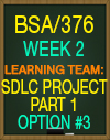 BSA/376 WORK-RELATED PROJECT ANALYSIS