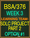 BSA/376 WORK-RELATED PROJECT ANALYSIS
