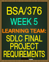 BSA/376 SDLC FINAL PROJECT REQUIREMENTS