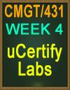 CMGT/431 Week 4 uCertify LABS