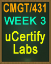 CMGT/431 Week 3 uCertify Labs