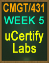 CMGT/431 Week 5 uCertify LABS