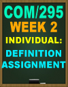 COM/295 Definition Assignment Week 2