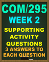 COM/295 Definition Assignment Week 2