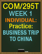 COM/295T Going on a Business Trip to China