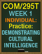 COM/295T Week 1 Practice: Demonstrating Cultural Intelligence