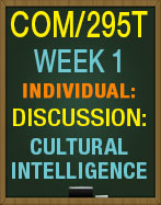COM/295T Week 1 Discussion Cultural Intelligence