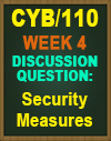 CYB/110 WK4 DQ Security Measures