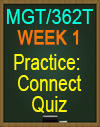 MGT/362T WK1 Practice: Connect Quiz