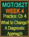 MGT/362T WK4 CH4 What to Change? A Diagnostic Approach