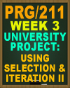 PRG/211 University Project: Using Selection & Iteration II