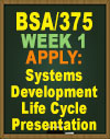 BSA/375 Systems Development Life Cycle Presentation
